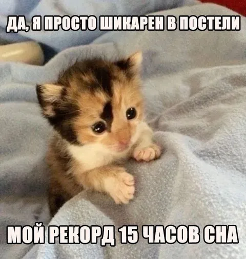 Шикарен в постели
