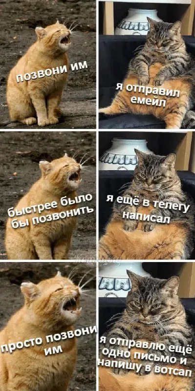 Просто позвони им