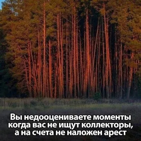 Когда не ищут коллекторы