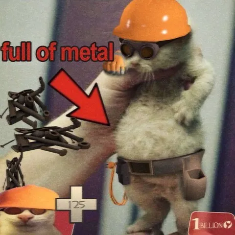 Full of Metal Cat