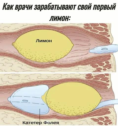 Как врачи зарабатывают первый лимон