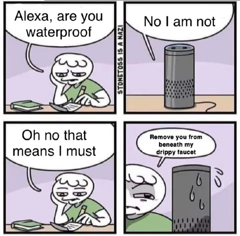 Alexa Under the Drippy Faucet
