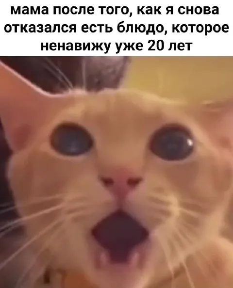 Мама после отказа от нелюбимого блюда