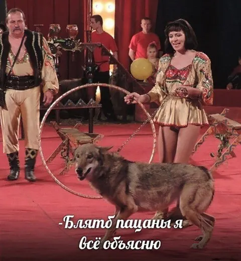 Всё объясню, пацаны