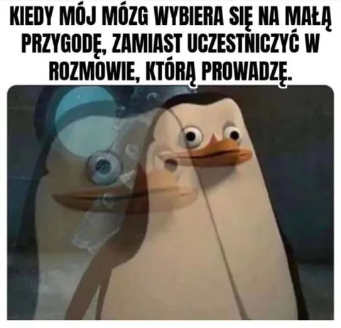 Mózg na małej przygodzie