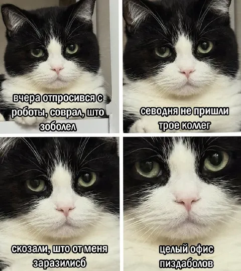 Соврал про болезнь и заразил офис
