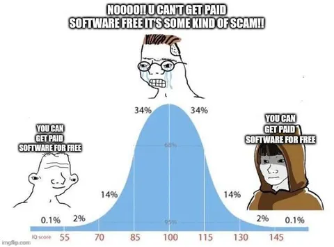 Paid Software Bell Curve Meme