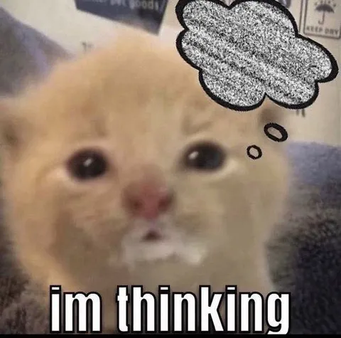 Cat Thinking Hard