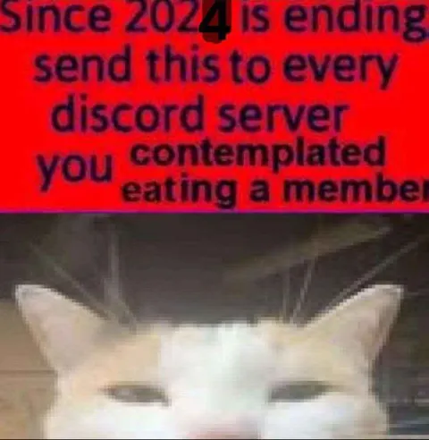 Contemplated Eating a Discord Member