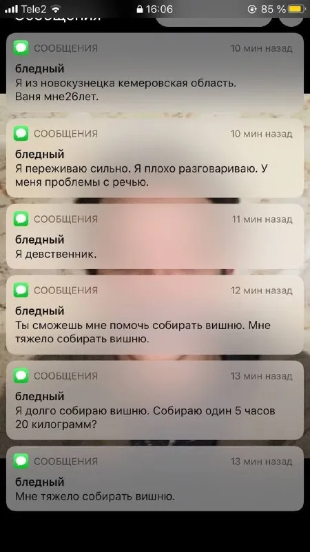 Бледный собирает вишню