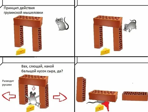 Принцип действия грузинской мышеловки