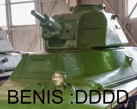 Benis Tank Reaction