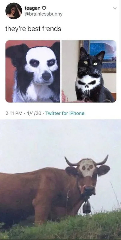 They're Best Frends