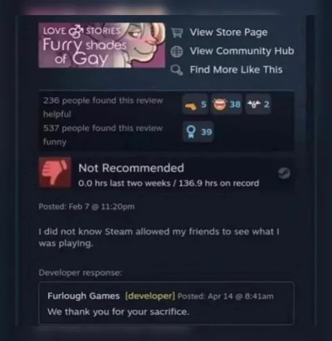 Steam Review Furry Shades of Gay