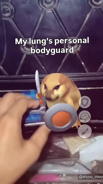 My Lung’s Personal Bodyguard