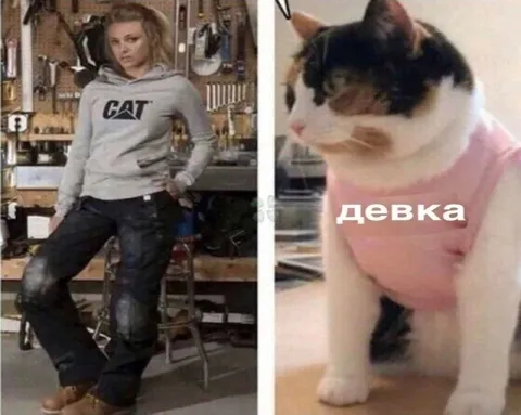 Девка в образе кота