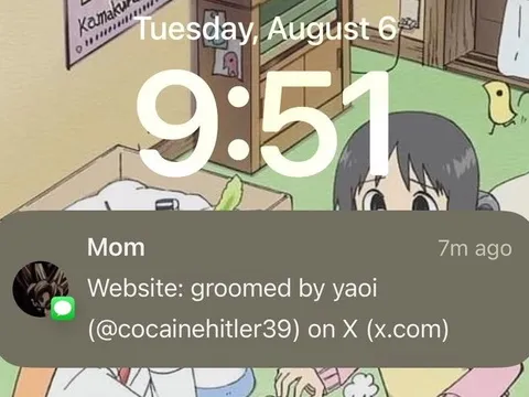 Mom Sees the Yaoi Website