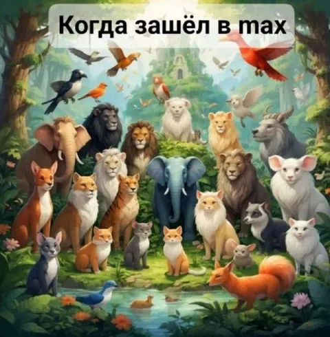 Когда зашёл в тах