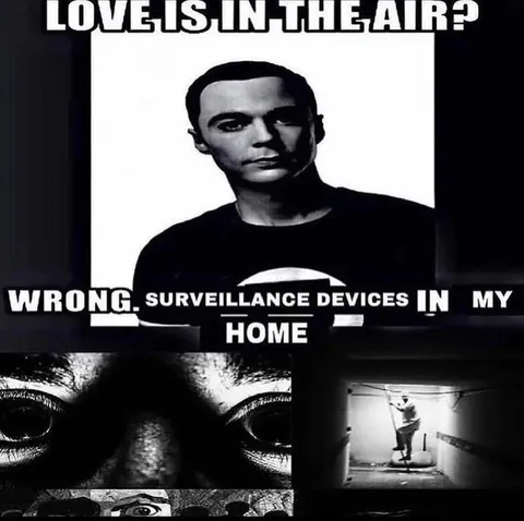 Wrong Surveillance Devices in My Home