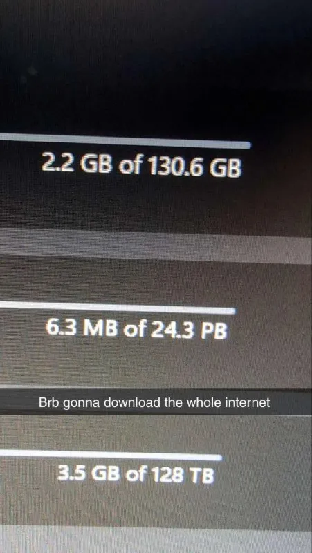 Downloading the Whole Internet