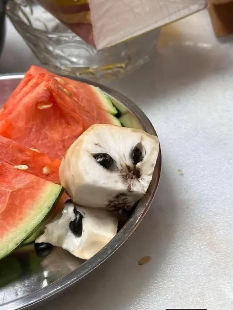 Кот из кусочка фрукта