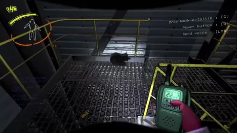 The Mouse Was Not Worth It