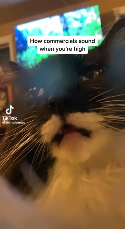 How commercials sound when high
