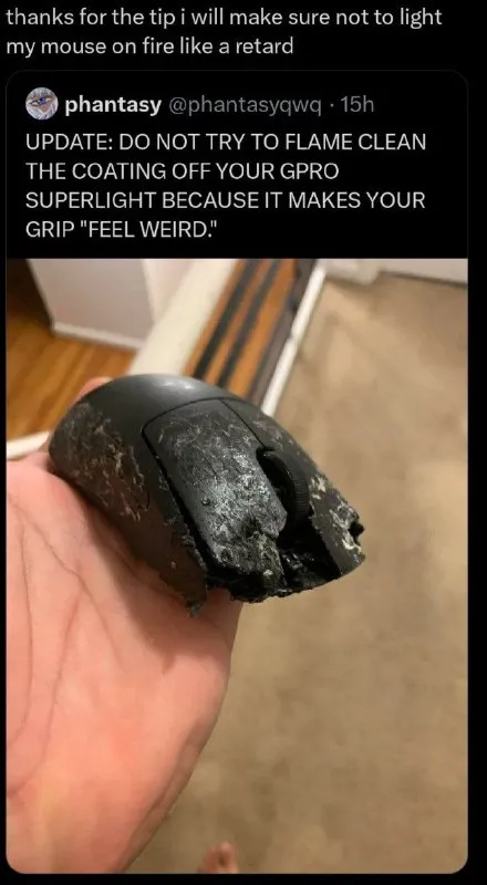 Mouse Set on Fire