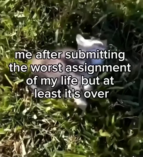 Worst Assignment Is Finally Over