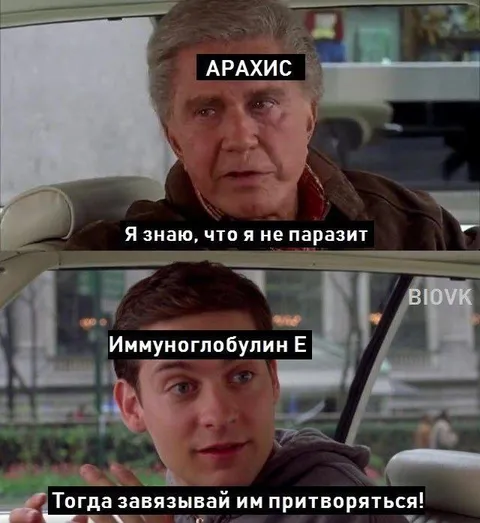 Арахис и иммуноглобулин Е