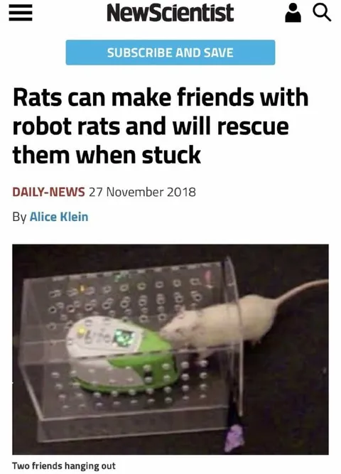 Rats Rescue Their Robot Friend
