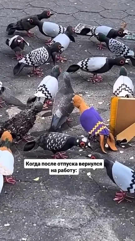 Когда после отпуска вернулся на работу
