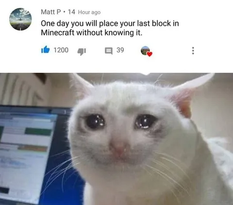 Last Minecraft Block