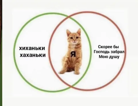 Кот между хиханьками и тоской