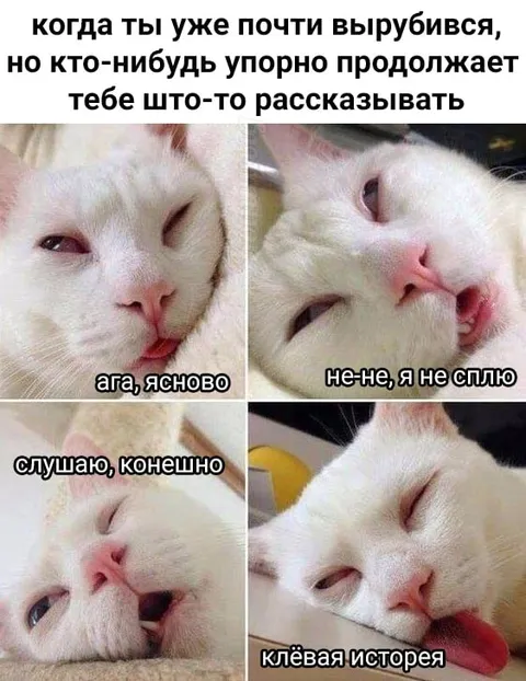 Кот делает вид, что слушает
