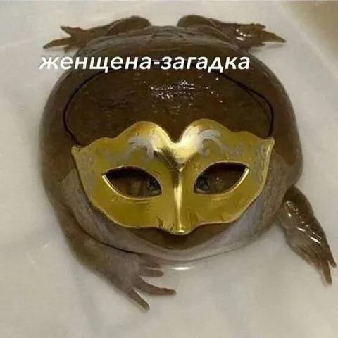 Лягушка в загадочной маске