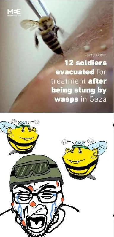 Wasps Evacuate Soldiers in Gaza