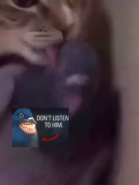 Cat Says Don't Listen to Him