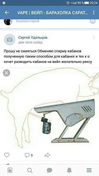 Сперма кабанов через аппарат