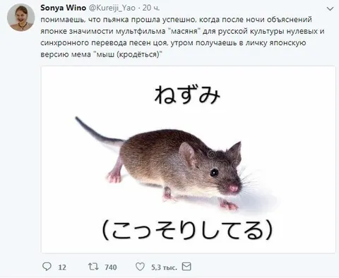 Мышь крадётся по-японски