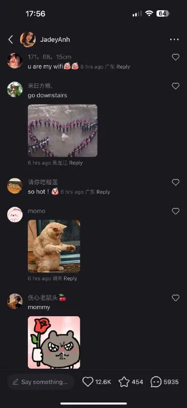 Family Chat Comment Section Chaos