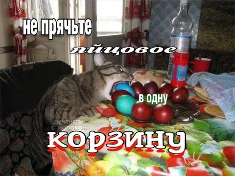 Не прячьте яйцовые в одну корзину