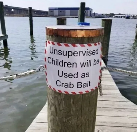 Unsupervised Children Crab Bait