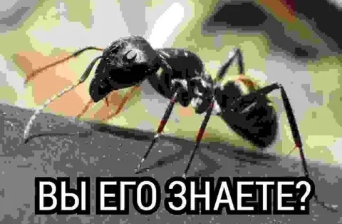Вы его знаете?