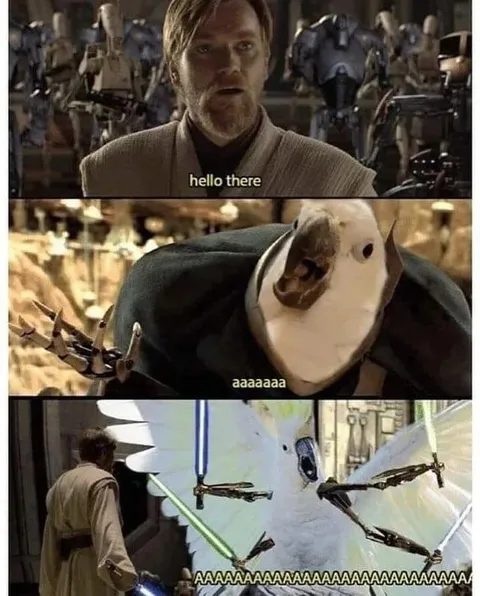 Hello There, Absolute Panic