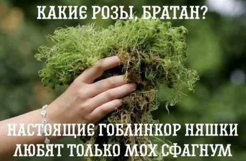 Гоблинкор няшки любят мох