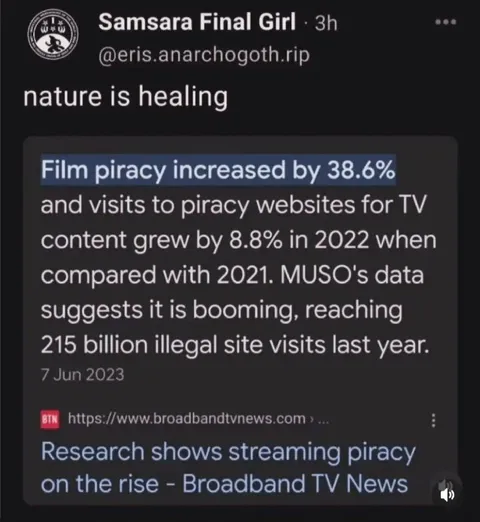 Nature Is Healing Piracy