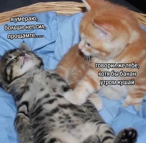 Хотя бы банан утром
