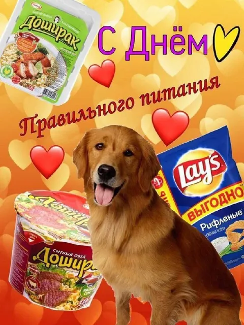 С Днём правильного питания