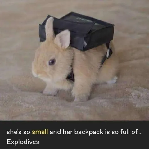 Tiny Rabbit Full of Explosives